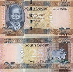 25 pounds 2011 Soudan du Sud 